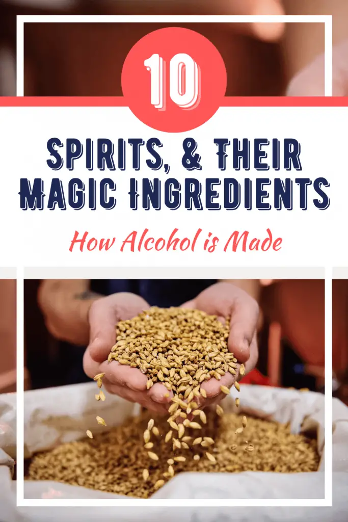 How is alcohol made? 10 spirits, & their magic ingredients.