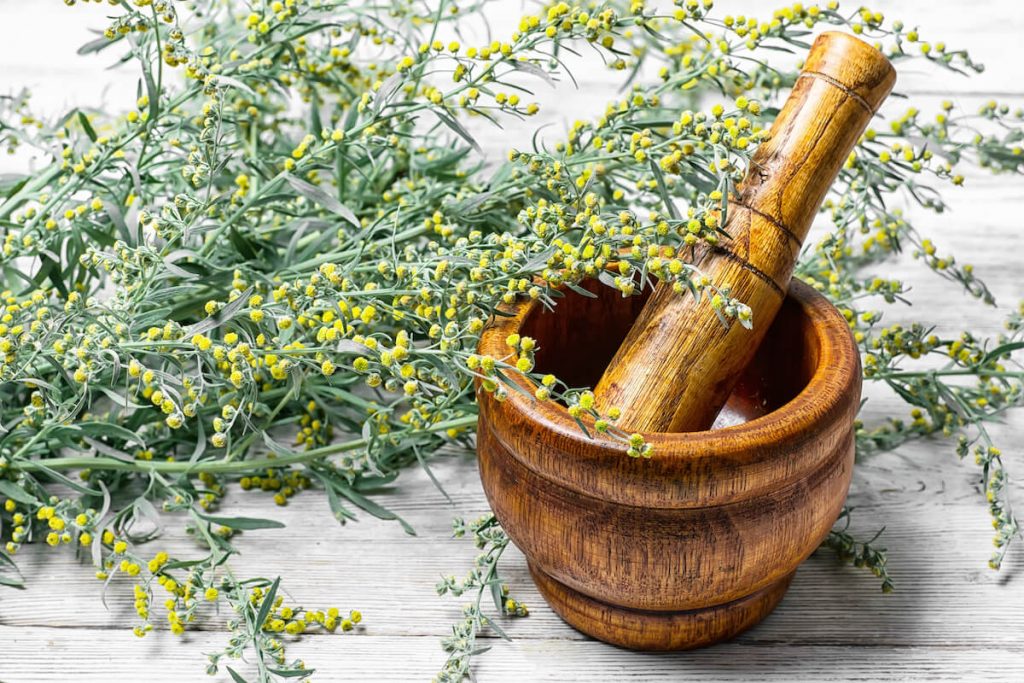 Wormwood for vermouth - what is vermouth?