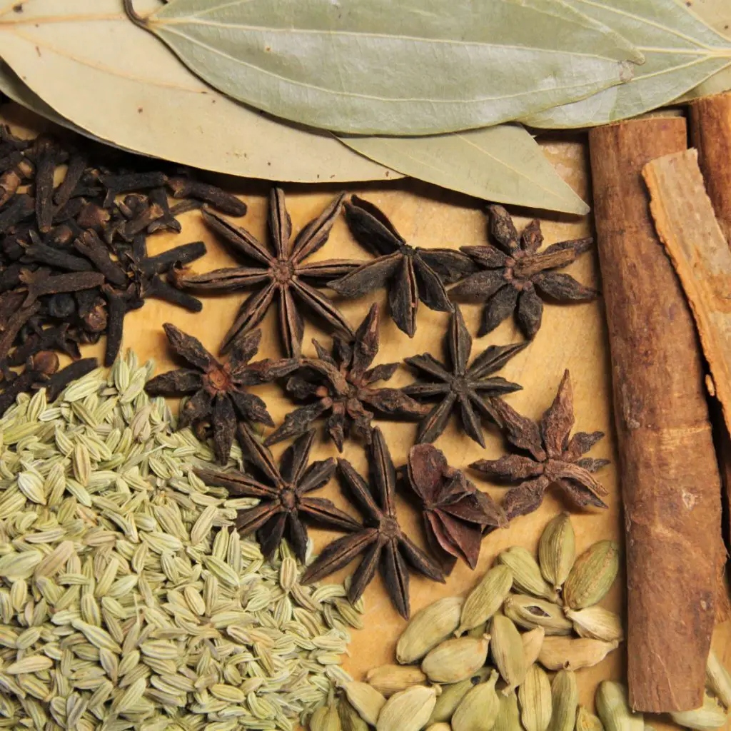Seeds, bark, and spices commonly used to make bitters.